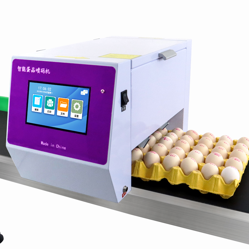 S10-6D Egg coding machine